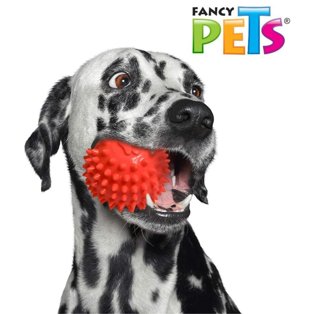 Pelota de Caucho Spiny para Perro (Juguete Fancy Pets)