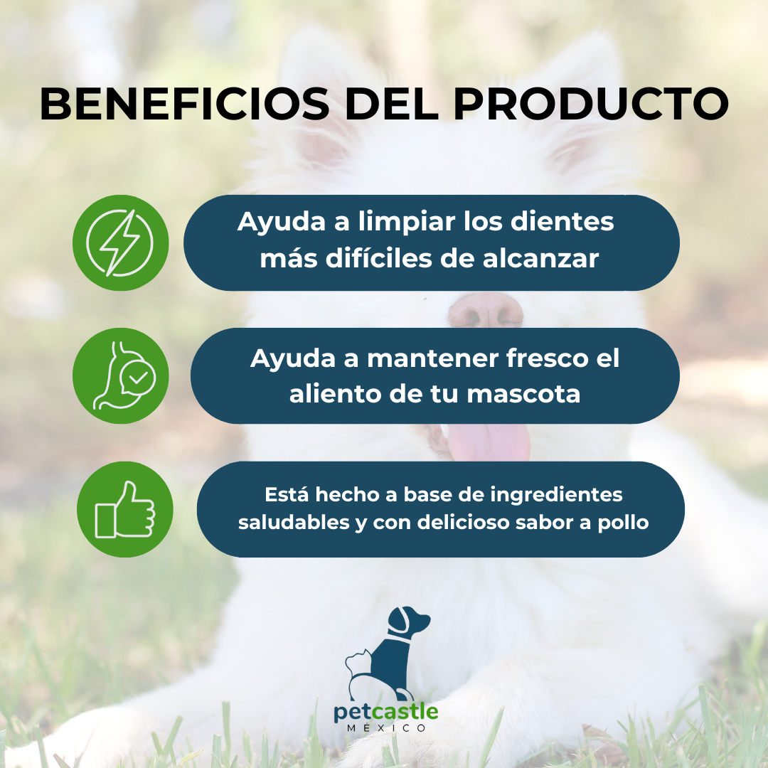 Purina Dentalife